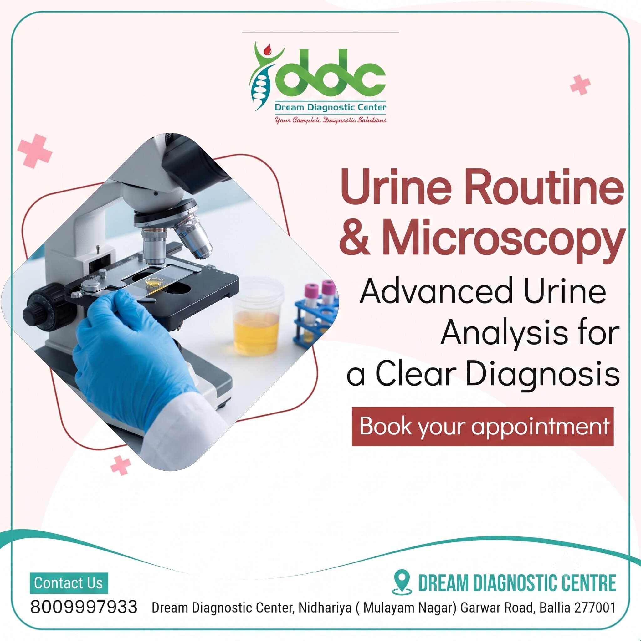 Urine Routine & Microscopy Test